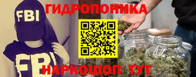 сатива Лесосибирск