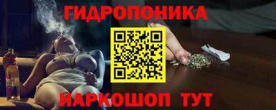 сатива Лесосибирск